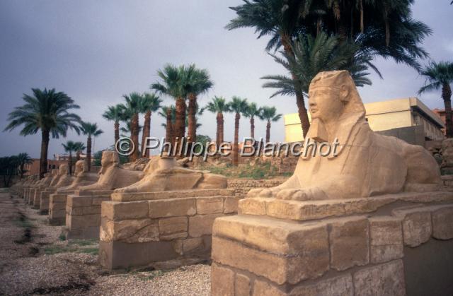 egypte 09.JPG - Allée des sphinx à l'entrée du temple de Karnak, Louxor, Egypte